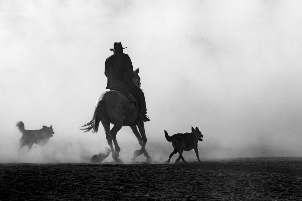 Фотография автора Aylin Turnator