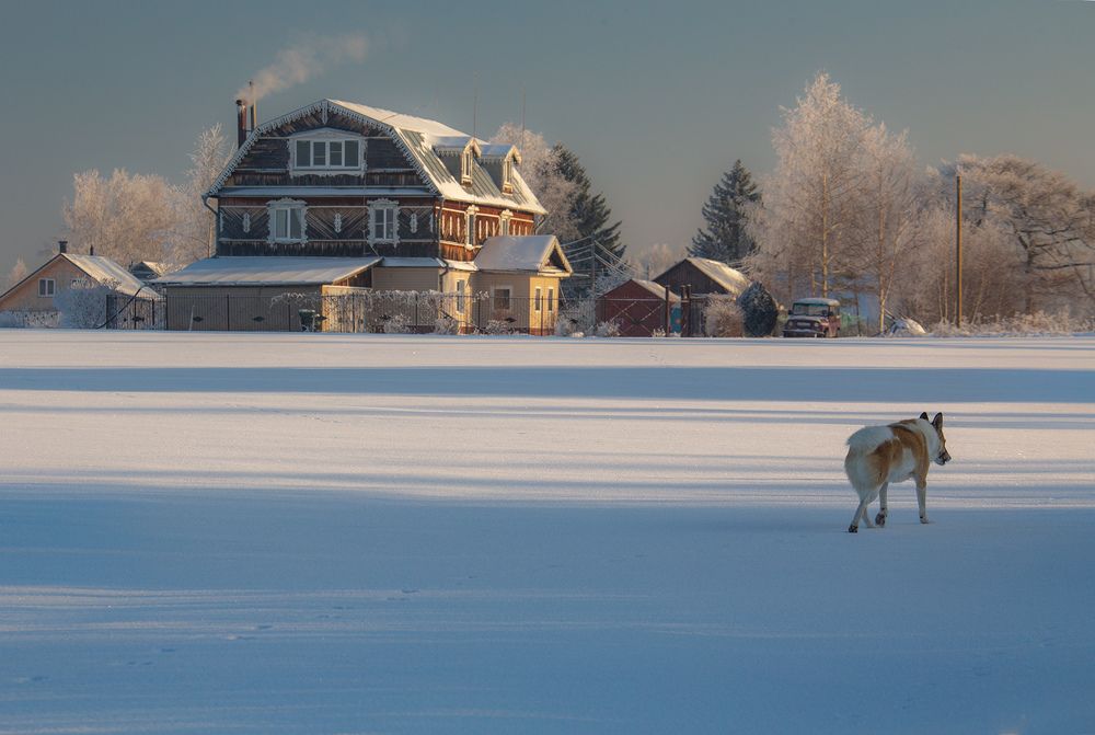 Фотография автора Денис Макаренко