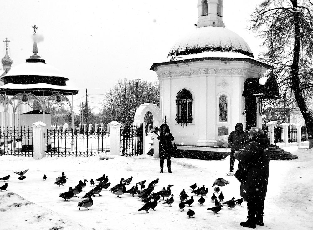 Кормление уток в зимнюю пору