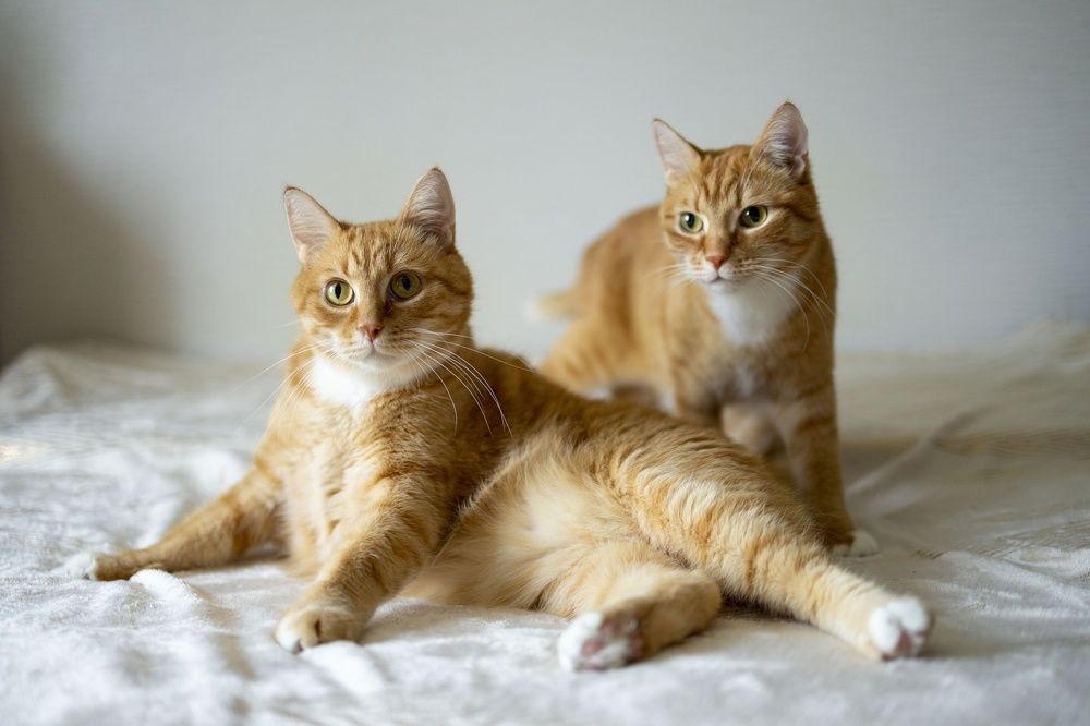 Photograph by Ольга Демидова