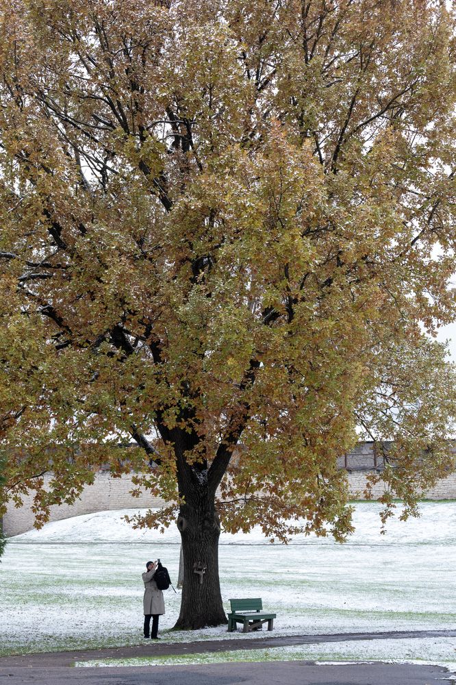 Photograph by Сергей Соловей