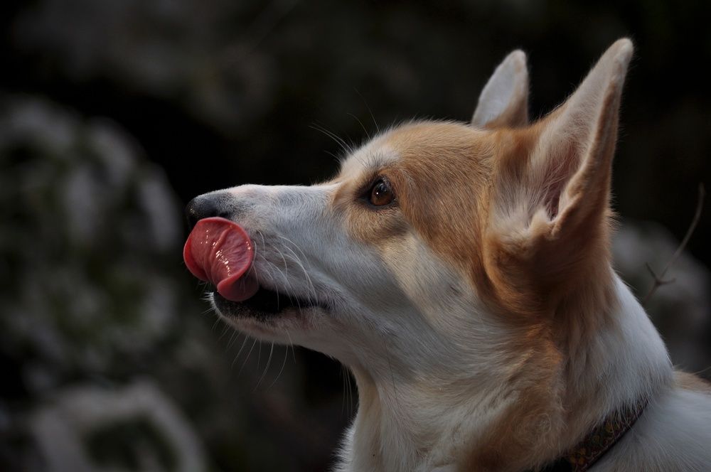 Photograph by Ирина