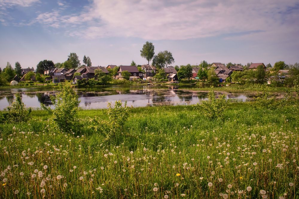 Одуванчиковый рай.