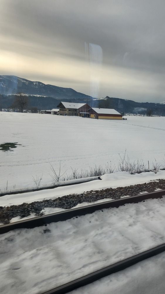 Photo #10316740