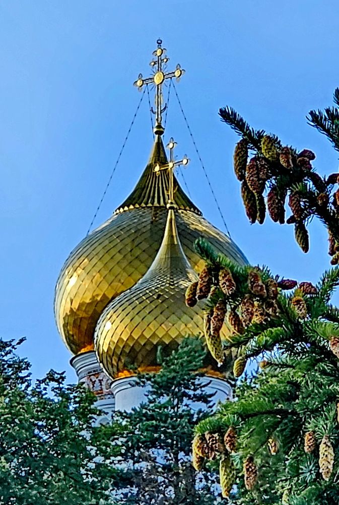 Купала Успенского