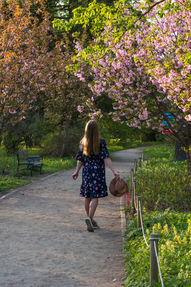 Фотография автора Irina Panina