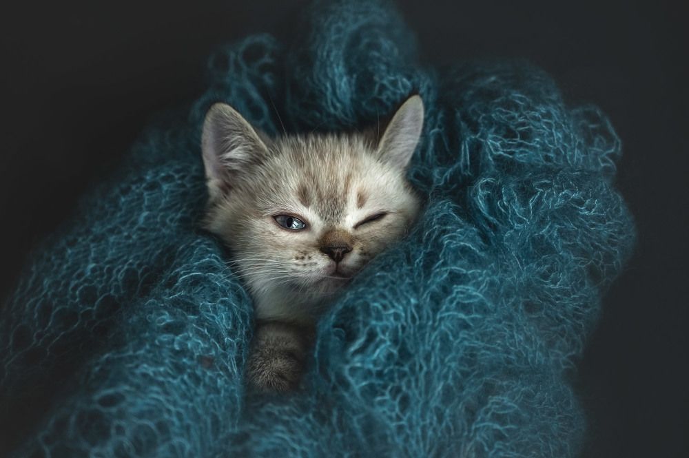 Photograph by Мороз Ирина