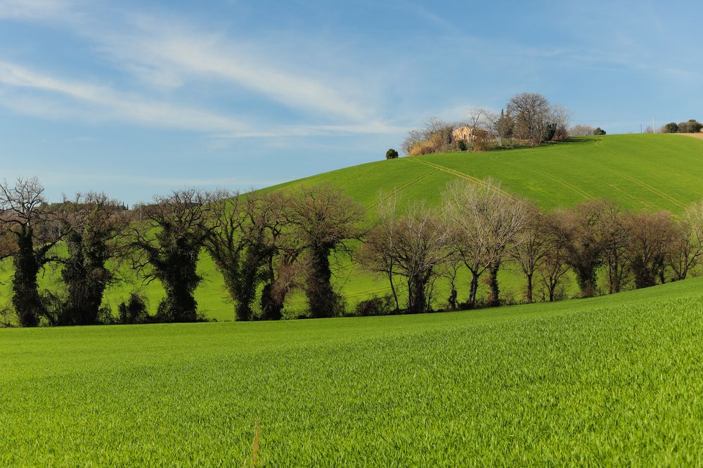 The rhythm of Italian winter