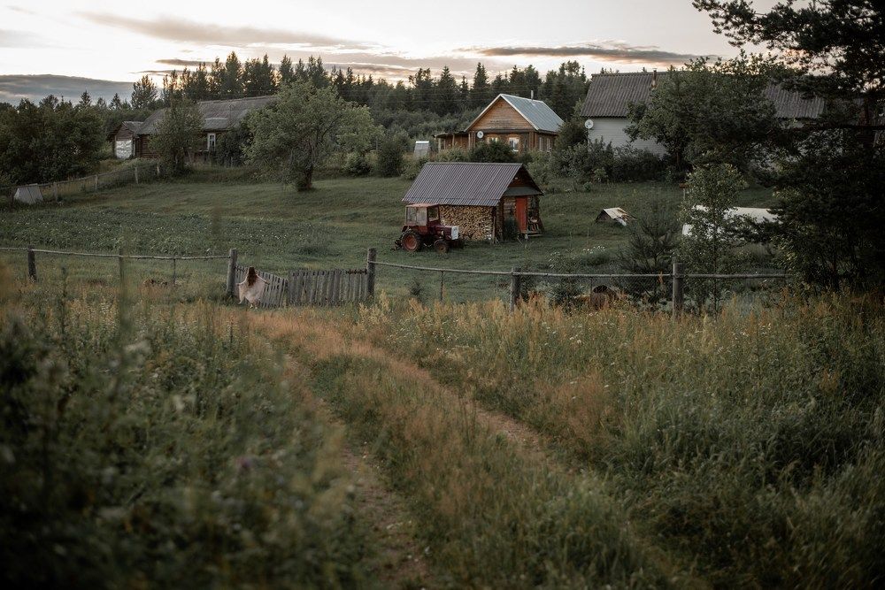 Фотография автора Екатерина Шаманаева