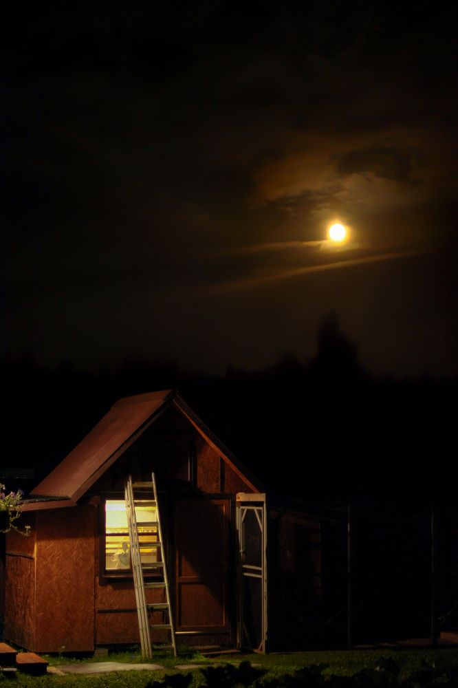 Photograph by  Kerry Moore