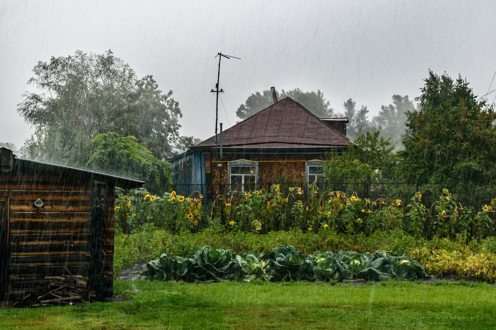 Фотография автора Мария Рохмистрова
