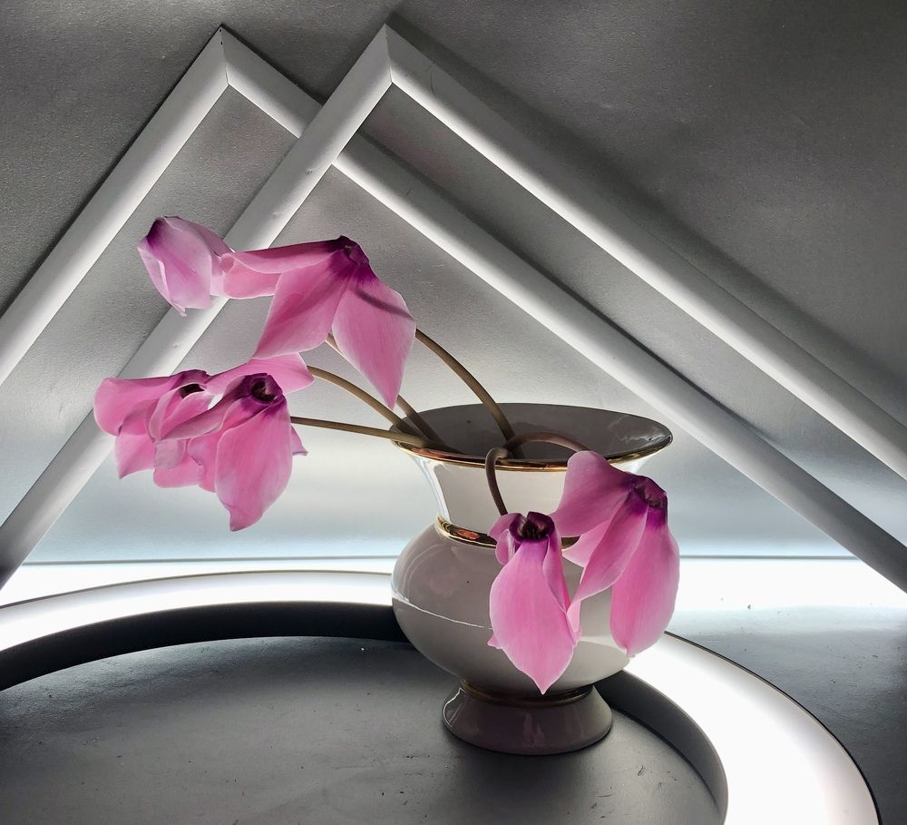 Photograph by Галина Пименова