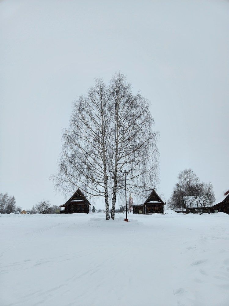 Photograph by Анастасия Веретенникова