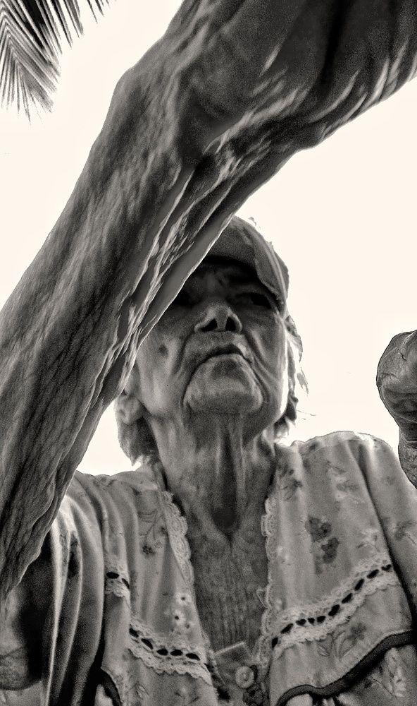 Photograph by Wilfred Paez