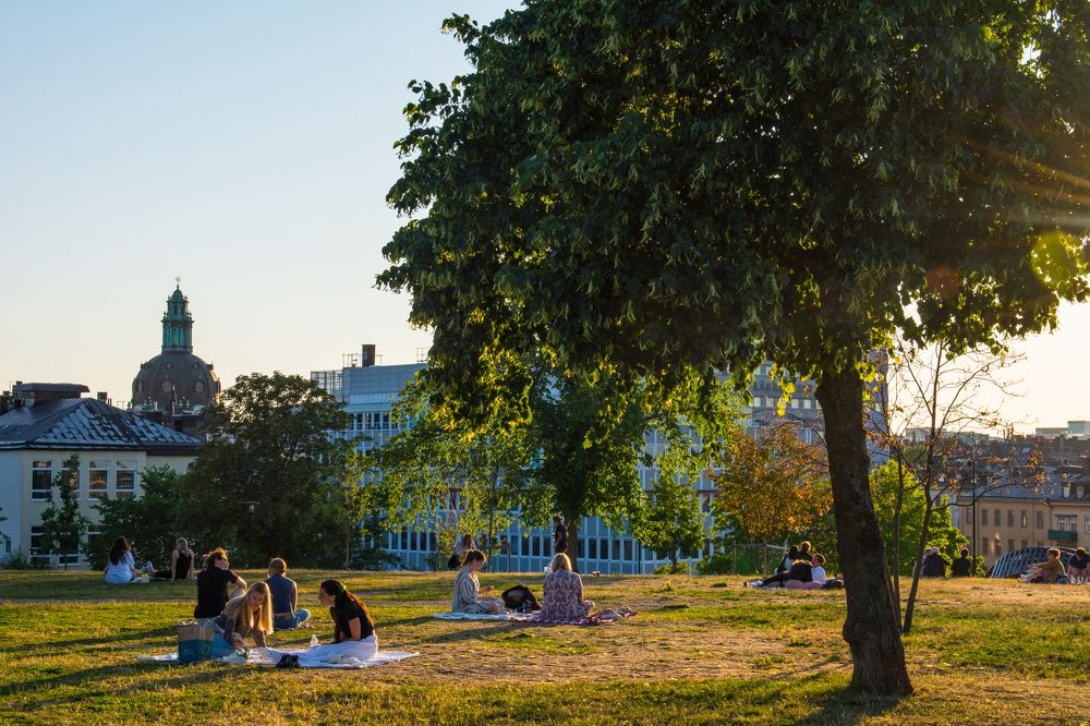 Фотография автора Irina Panina