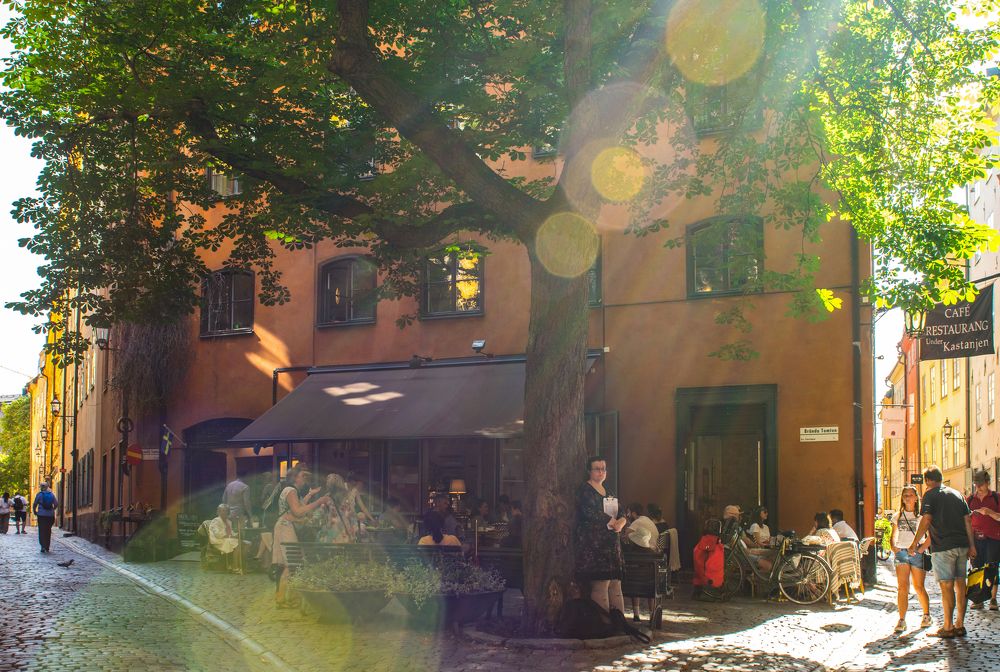 Фотография автора Irina Panina