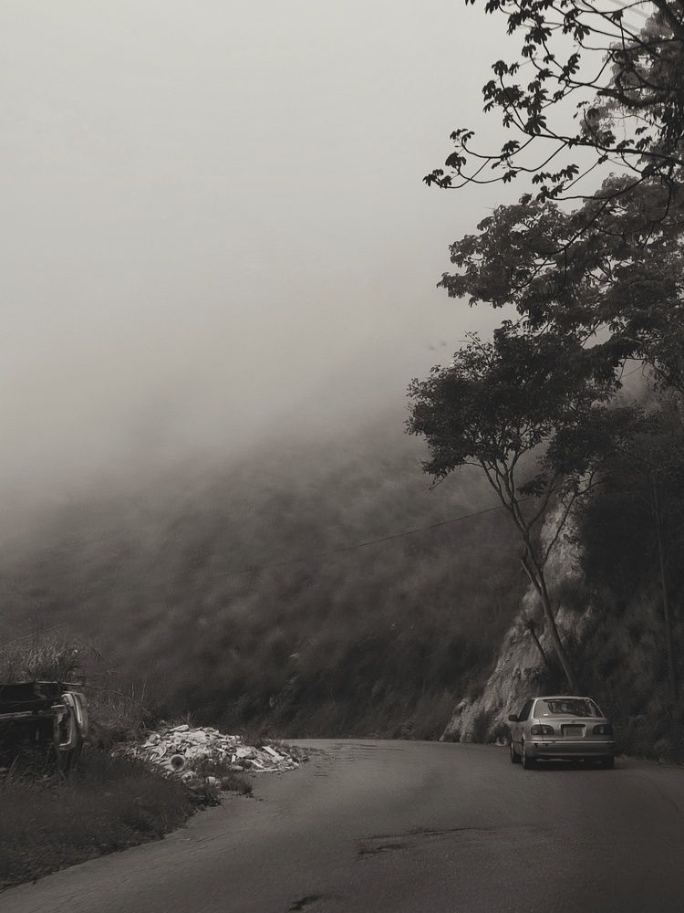 Photograph by nileydi Colmenarez