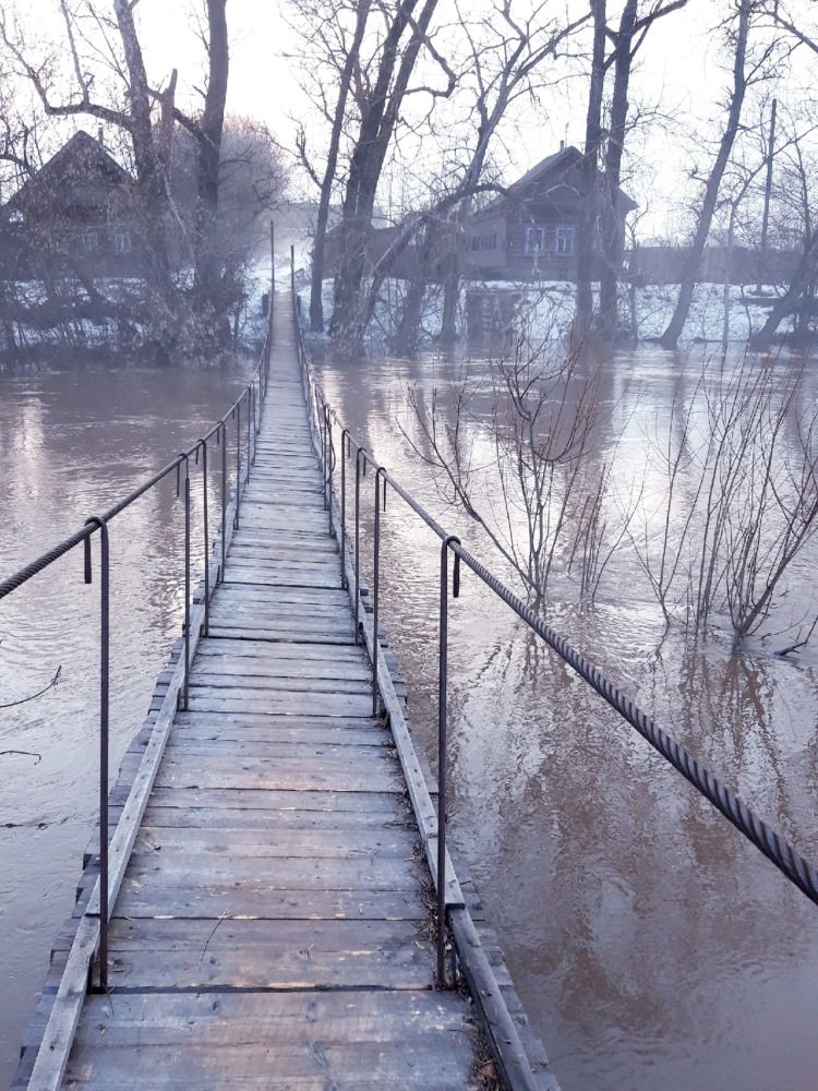 Photograph by Tatyana Busorgina