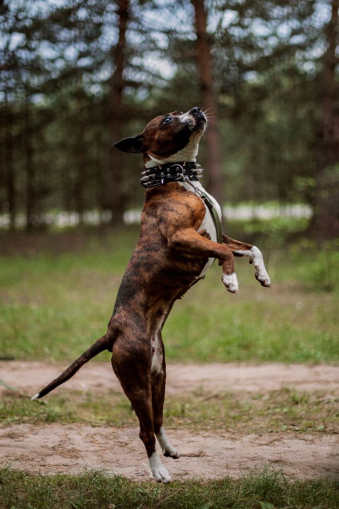 Photograph by Анастасия Дмитриева