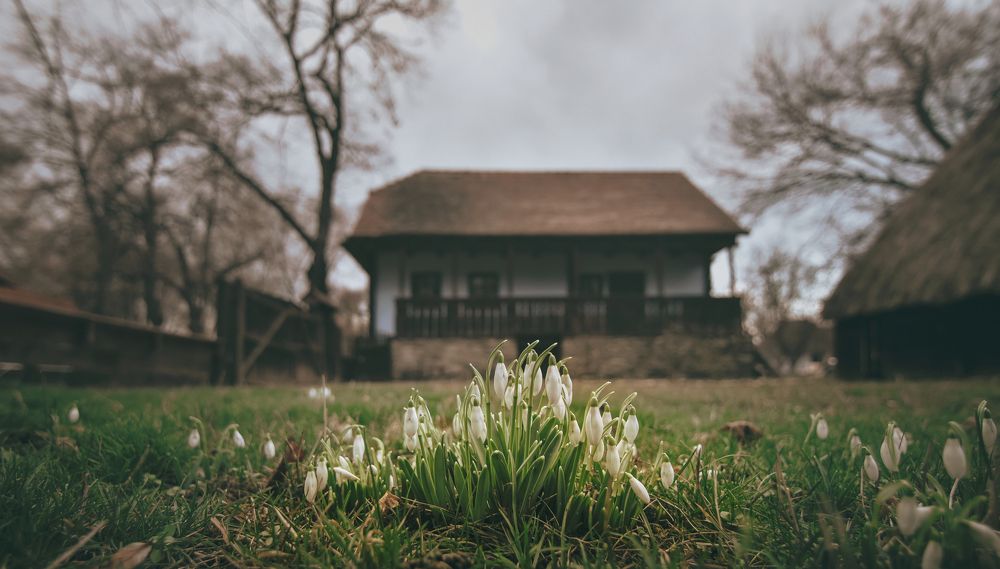 Фотография автора Leompescu Emanuel