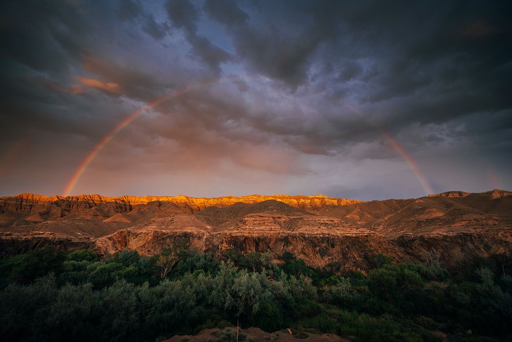 Photograph by Tomislav Safundžić