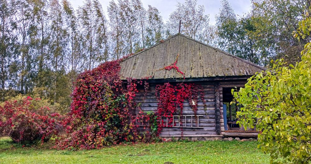Фотография автора Валерия