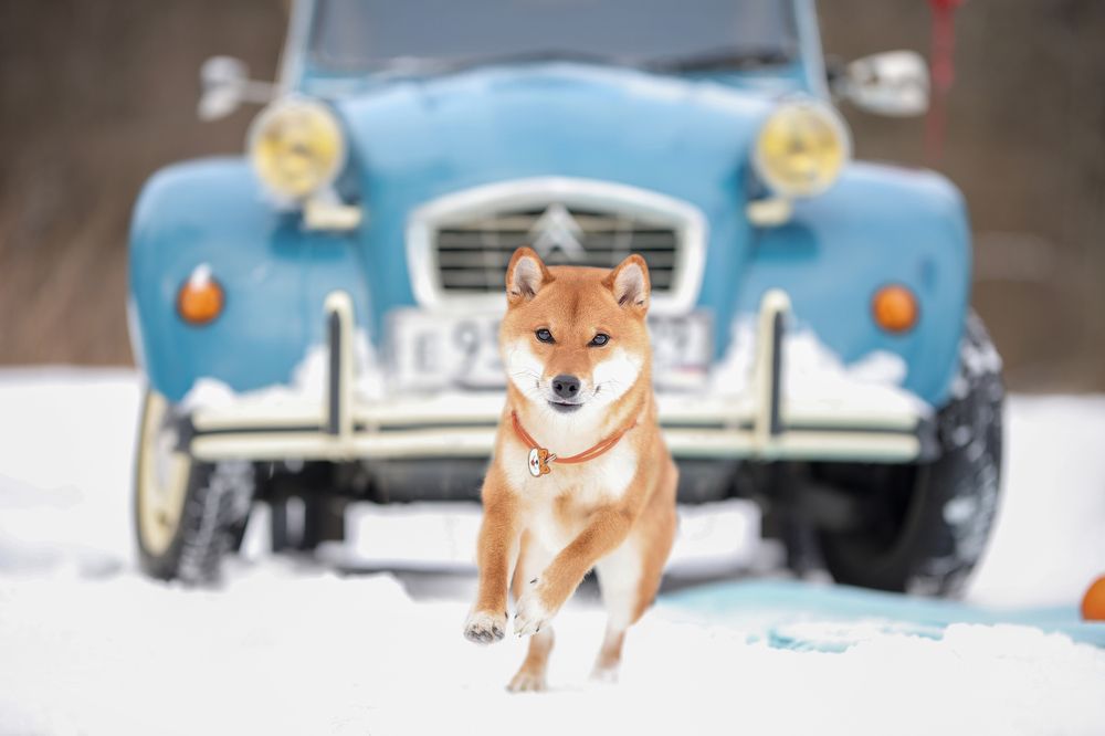 Photograph by Ирина Андреева