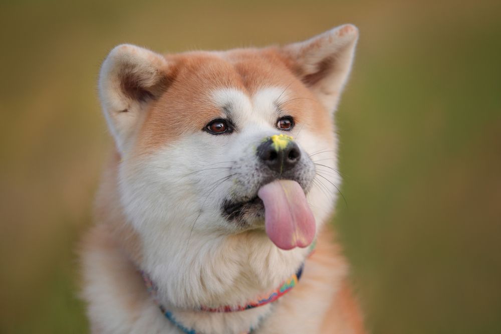 Photograph by Ирина Андреева