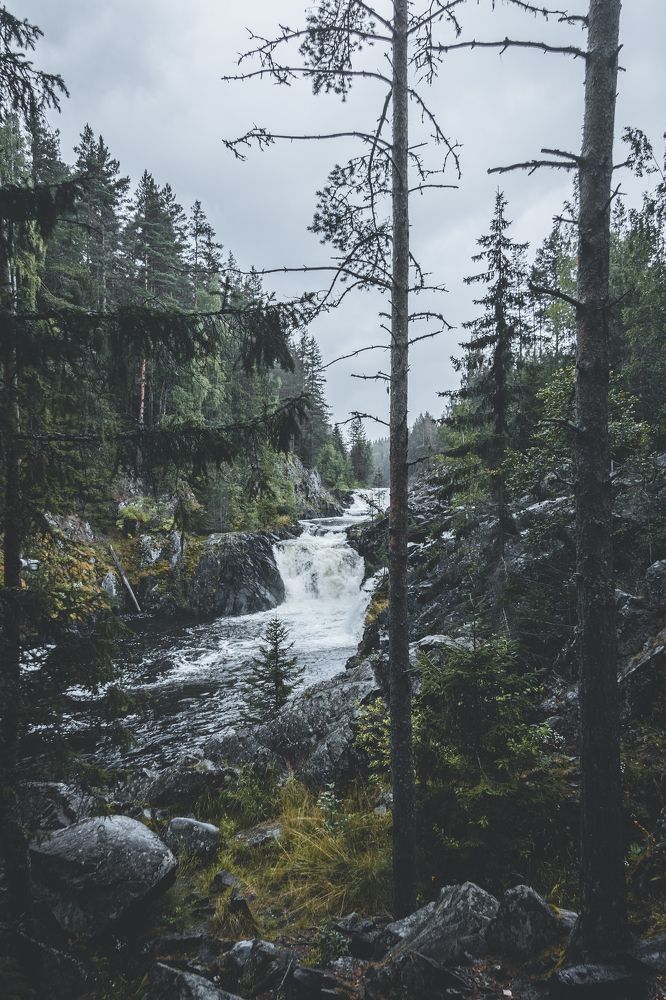 Photograph by Надежда Никитина