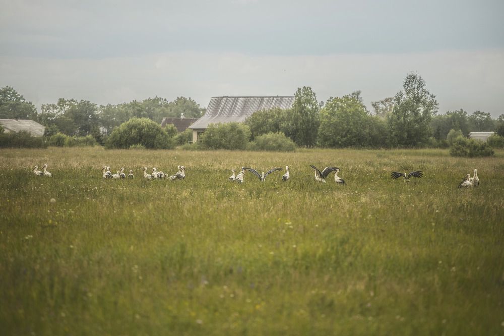 Photograph by Надежда Никитина