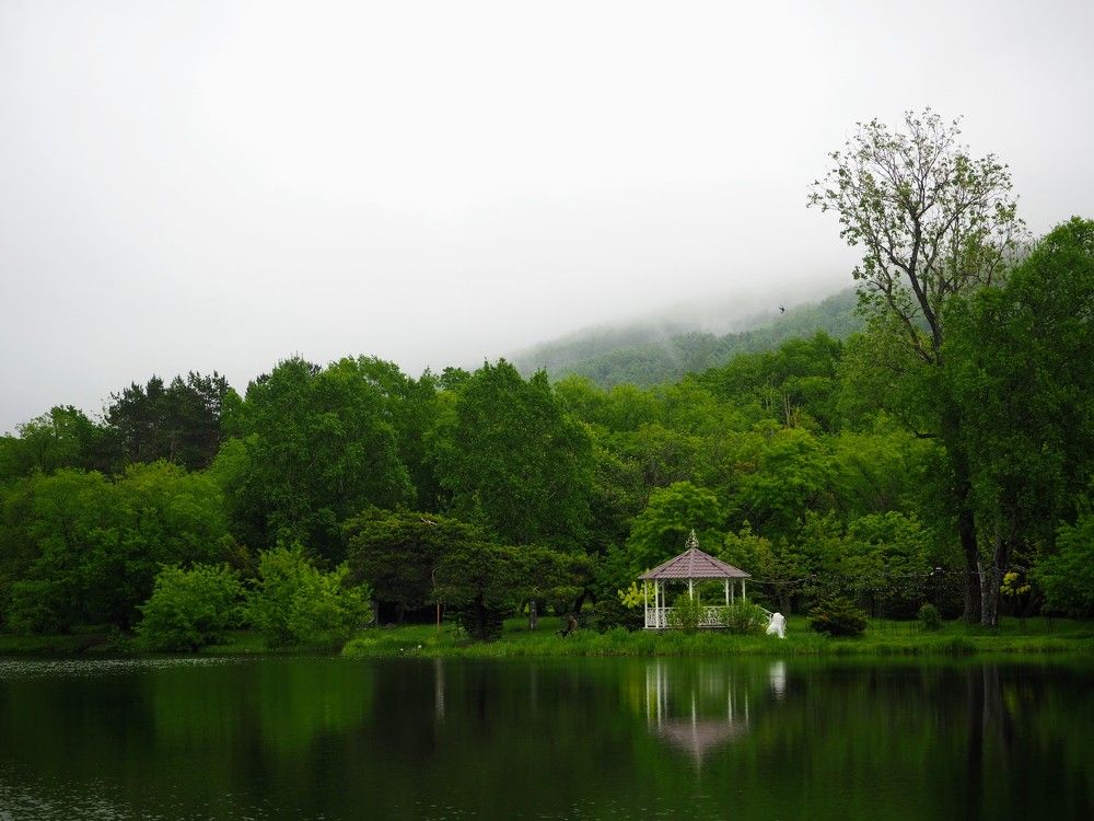 Фотография автора Olena Vorotyntseva