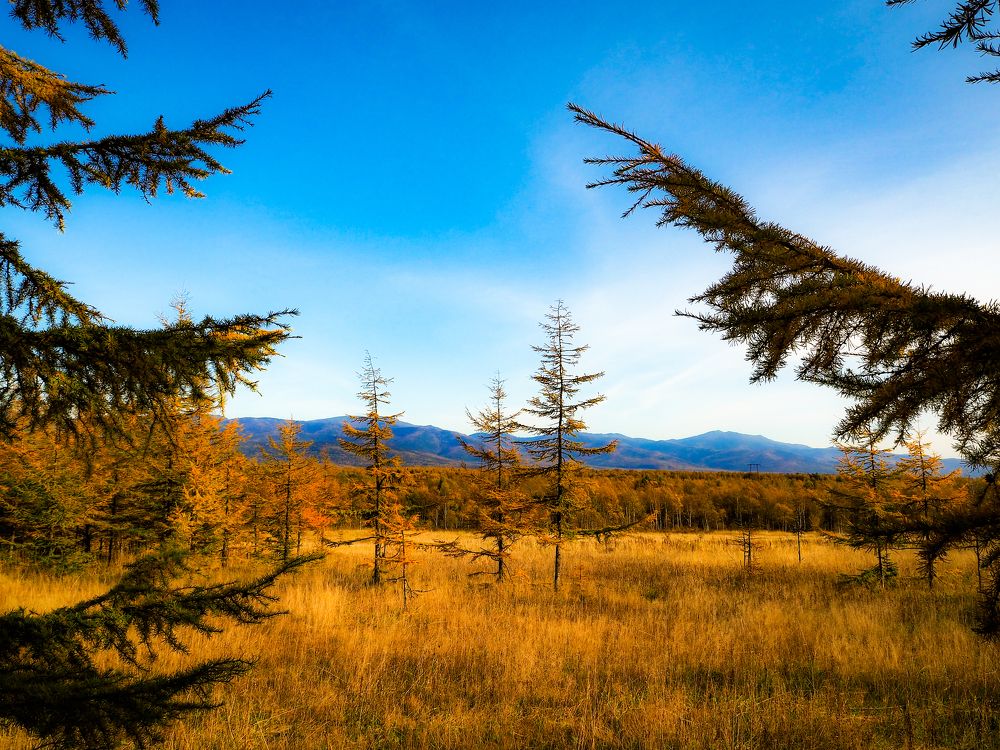 Фотография автора Olena Vorotyntseva