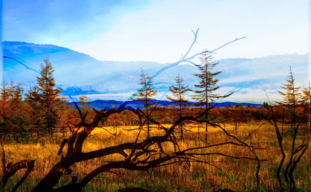 Фотография автора Olena Vorotyntseva