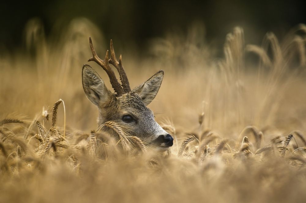 Photograph by Piotr Socha