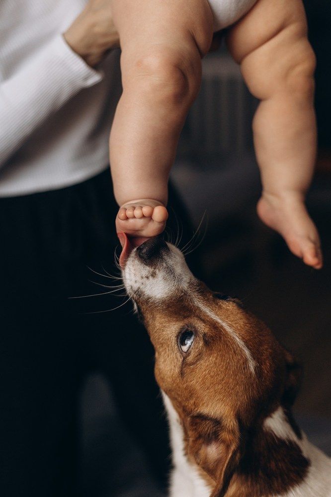 Photograph by Анастасия Осипова