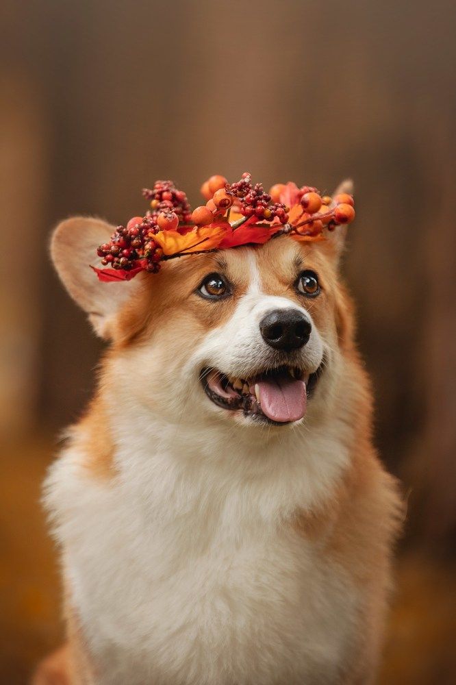 Photograph by Анастасия Осипова