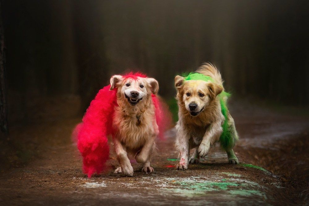 Photograph by Анастасия Осипова