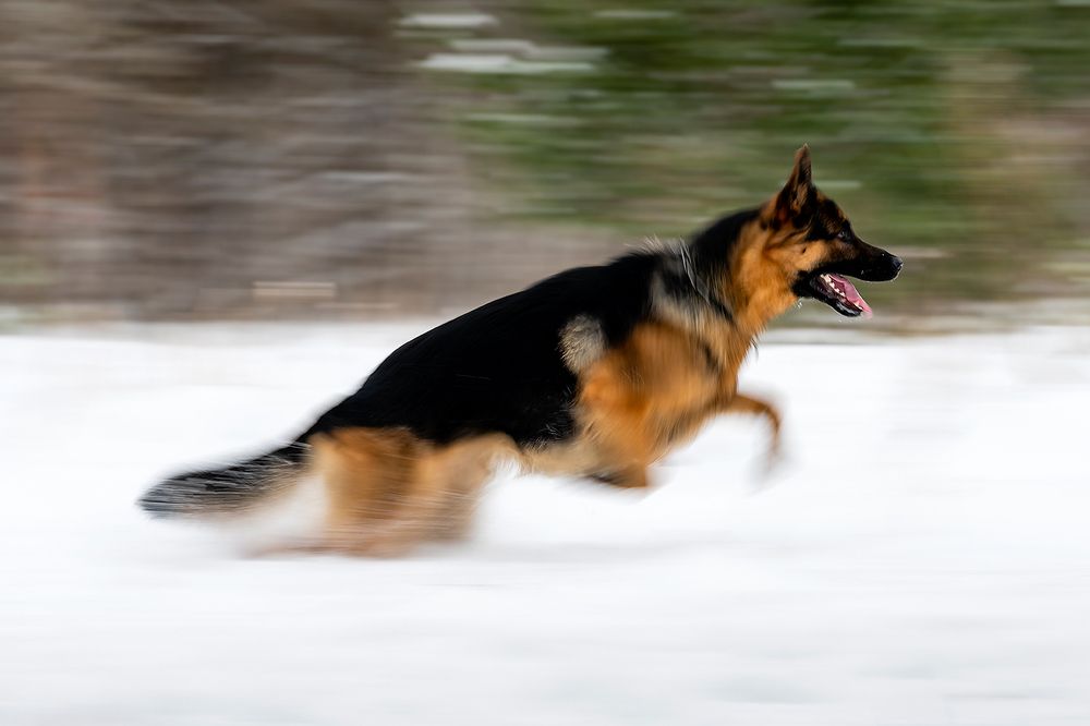 Photograph by Абросимов Александр