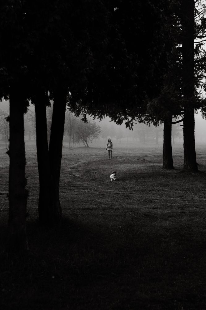 Photograph by Alex Orlov