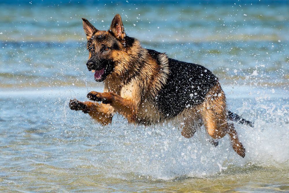 Photograph by Абросимов Александр