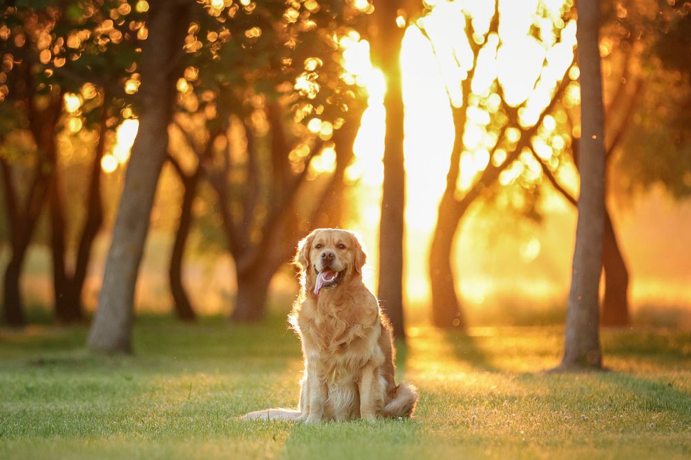 Photograph by Ирина Андреева