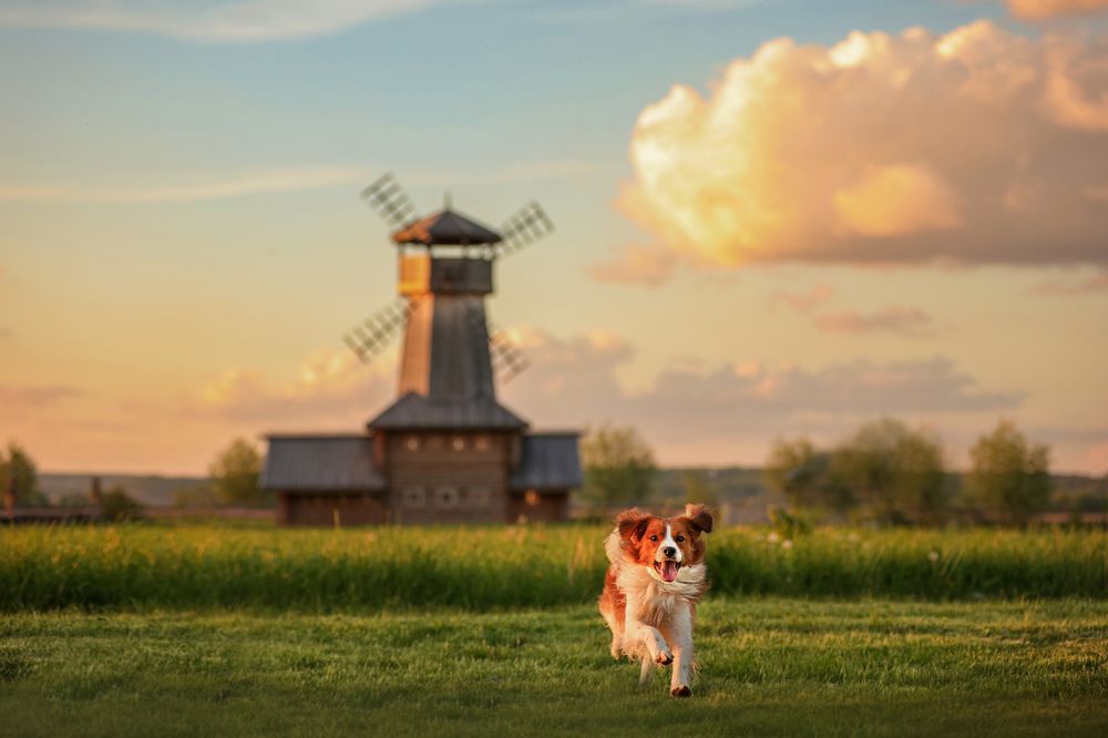 Photograph by Ирина Андреева