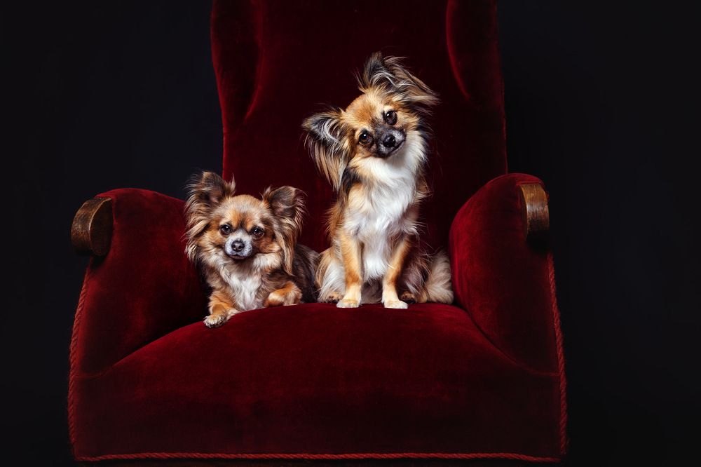 Photograph by Sandra Meyer