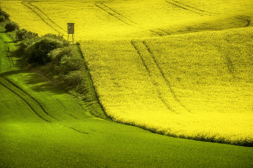 Photograph by cuneyt gumushaneli