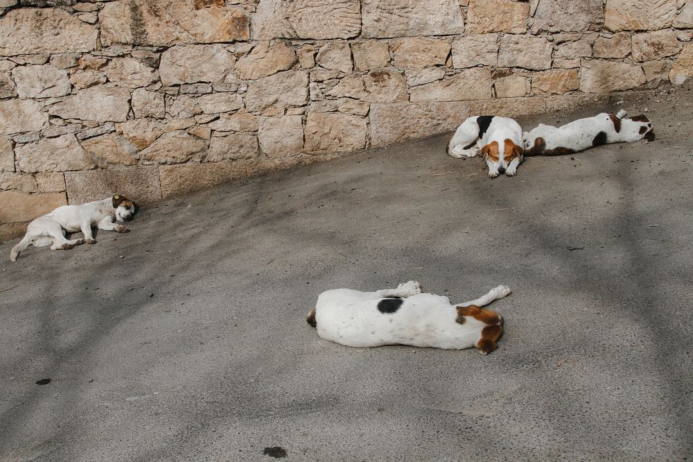 Photograph by Olya Kozlova