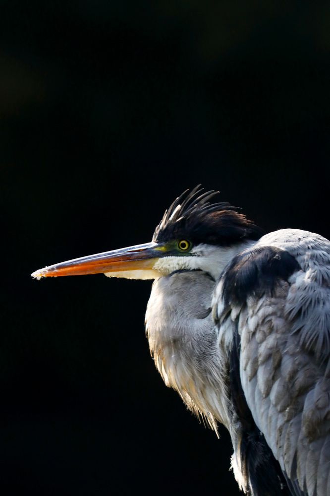 Photograph by Ricardo Vergara