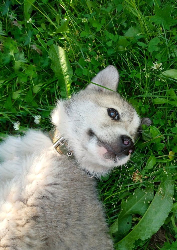 Photograph by Аля