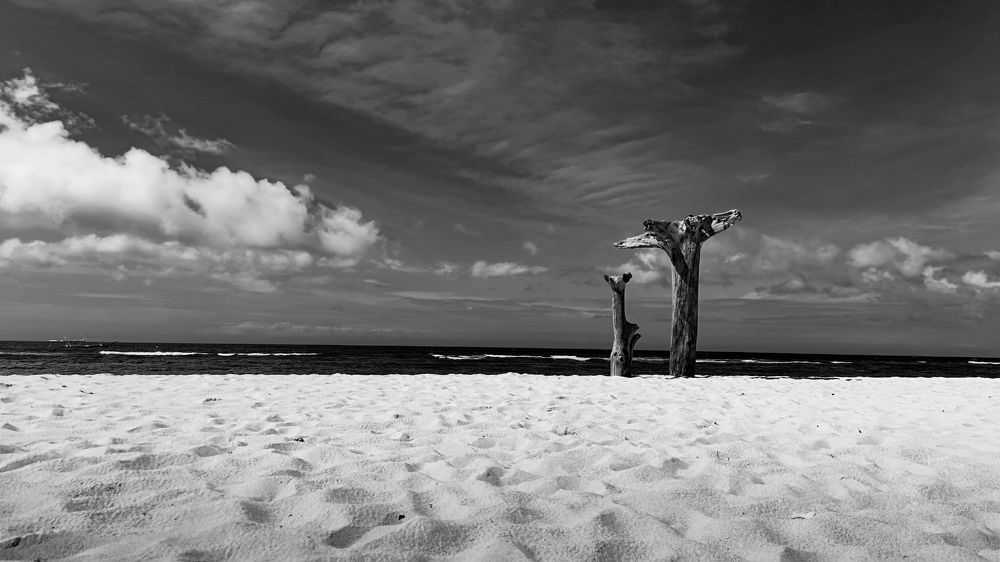 Photograph by Наталья Сонникова
