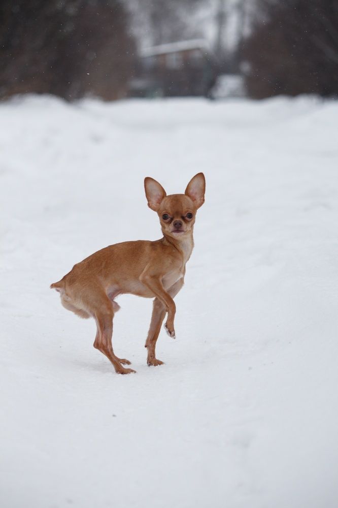 Фотография автора Регина Цыганова