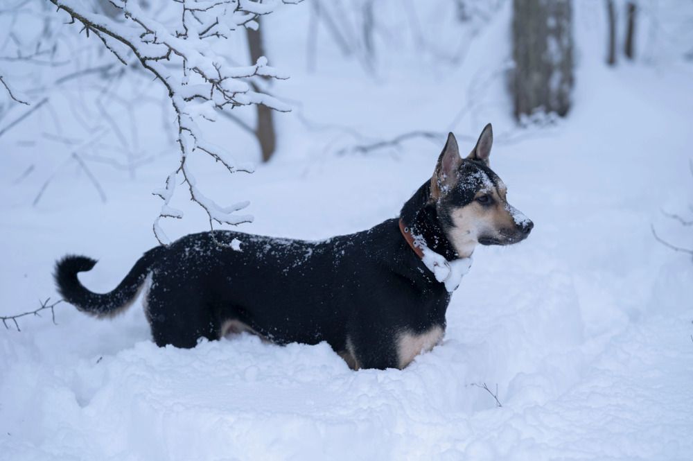 Photograph by Полина Котегова